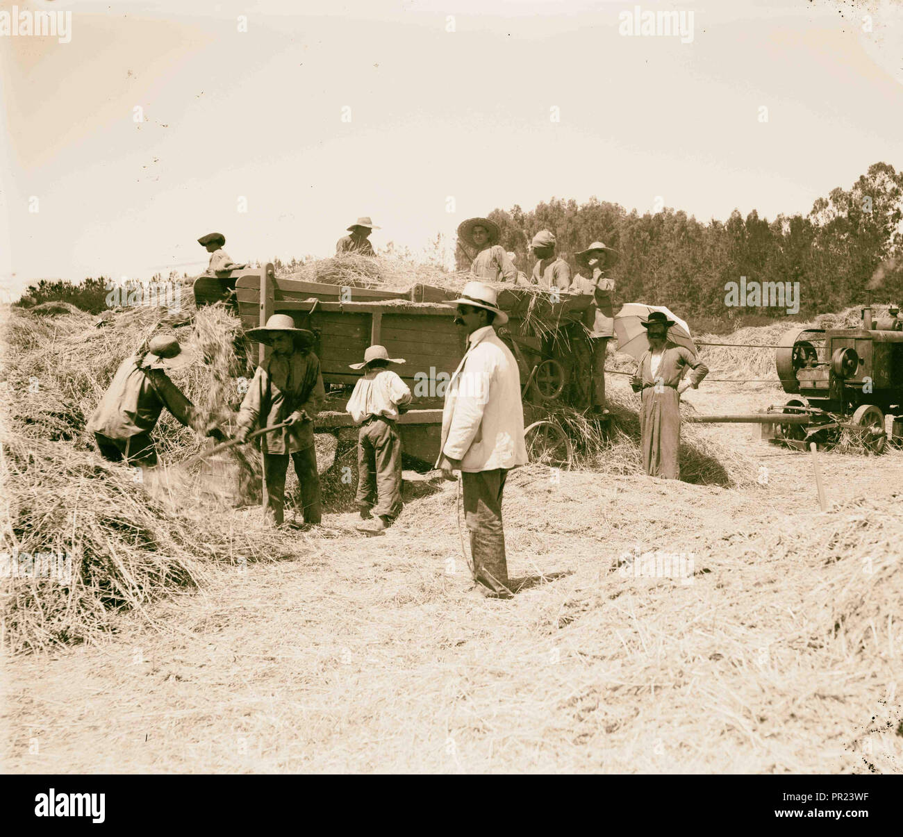 Die Ernte. Jüdische Kolonie. Foto zeigt möglicherweise Mikwe (Mikwe) Israel Landwirtschaftliche Schule. 1898, Israel Stockfoto