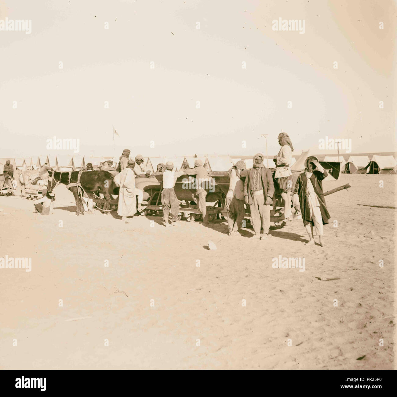 Einrichten Hosp. [D. h., das Krankenhaus] Zelte im Sinai. 1917, Ägypten, Sinai Stockfoto