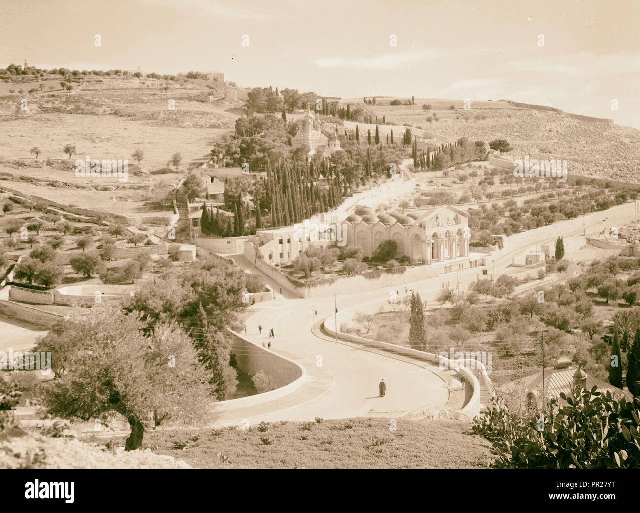 Garten Gethsemane & Pisten von Olivet mit neuen Straße. 1942, Jerusalem, Israel Stockfoto