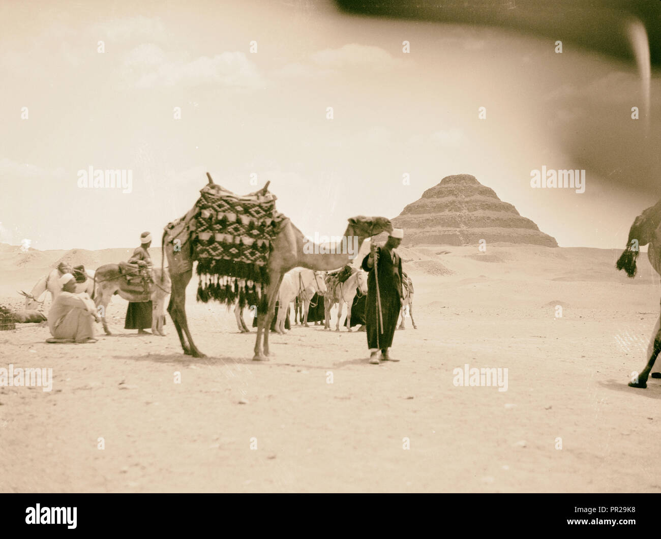 Ägypten. Sakkara. Fernsicht auf die stufenpyramide. Camelman im Vordergrund. 1934, Ägypten, Saqqārah Stockfoto