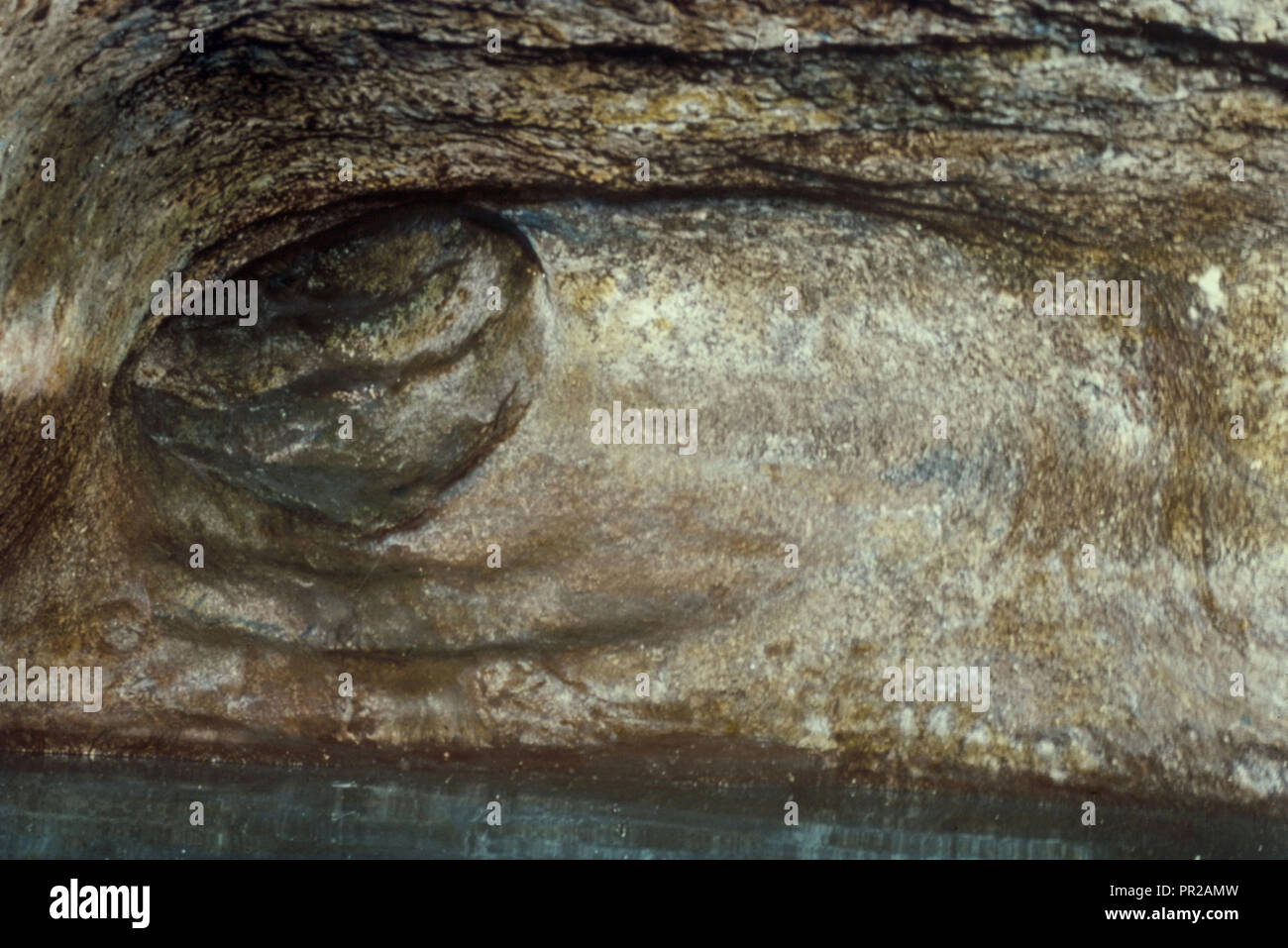 Bereich in der Nähe von Jerusalem. Gibeon die Feder. II Sam 213. 1950, West Bank, Al Jīb, Israel Stockfoto
