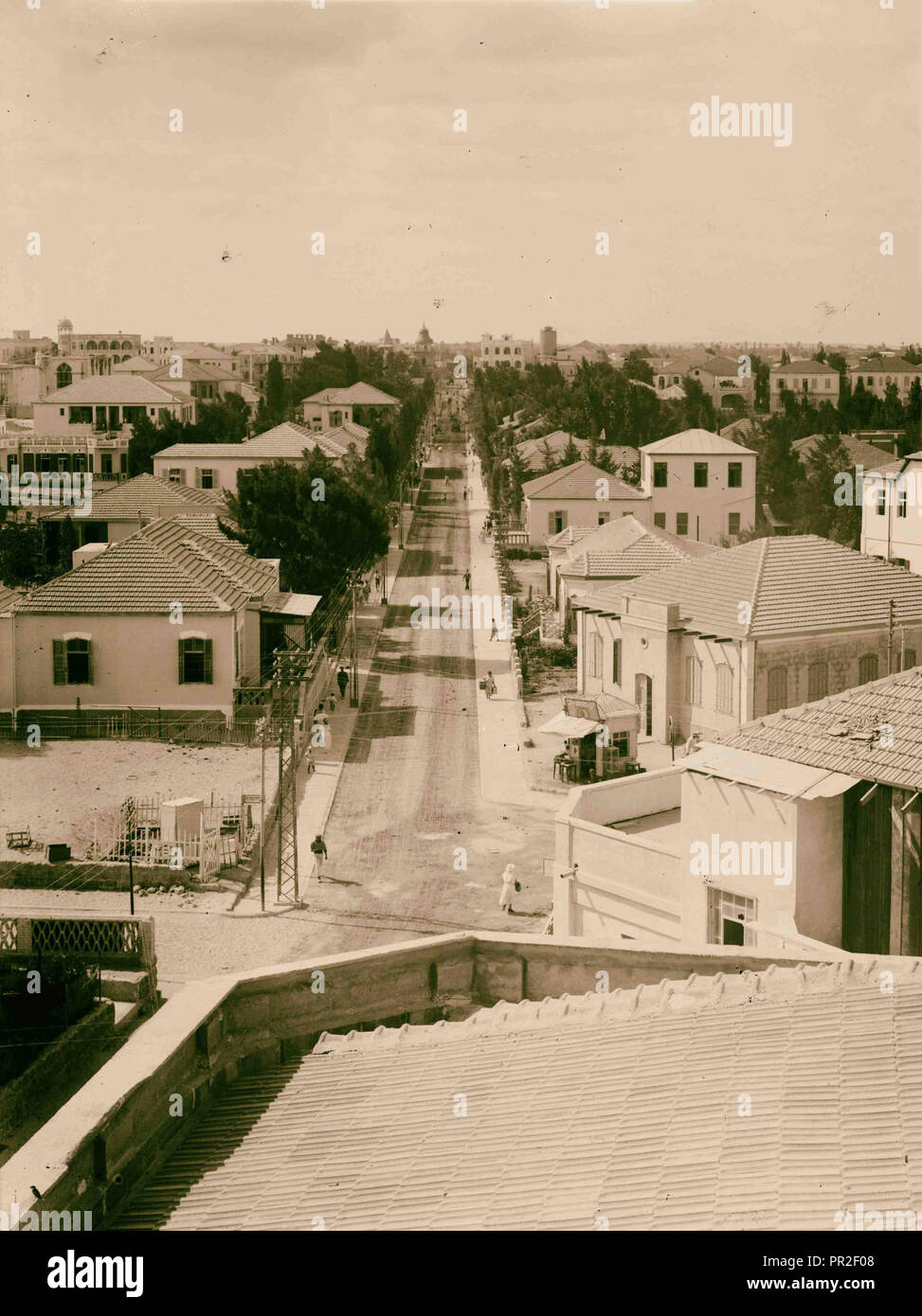 Jüdische Kolonien und Siedlungen. Tel Aviv. Moderne Straße abgeschlossen. 1920, Israel, Tel Aviv Stockfoto