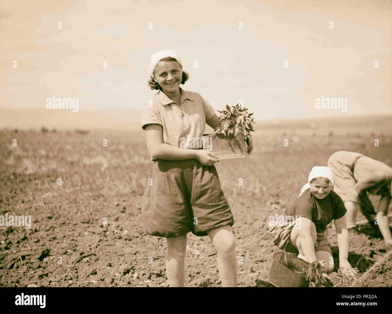 Nahalal. Girls' landwirtschaftliche Ausbildung Schule. In Tomatenpflanzen mit typischen Kleid, mit Kopftuch, middy und bloomers Stockfoto