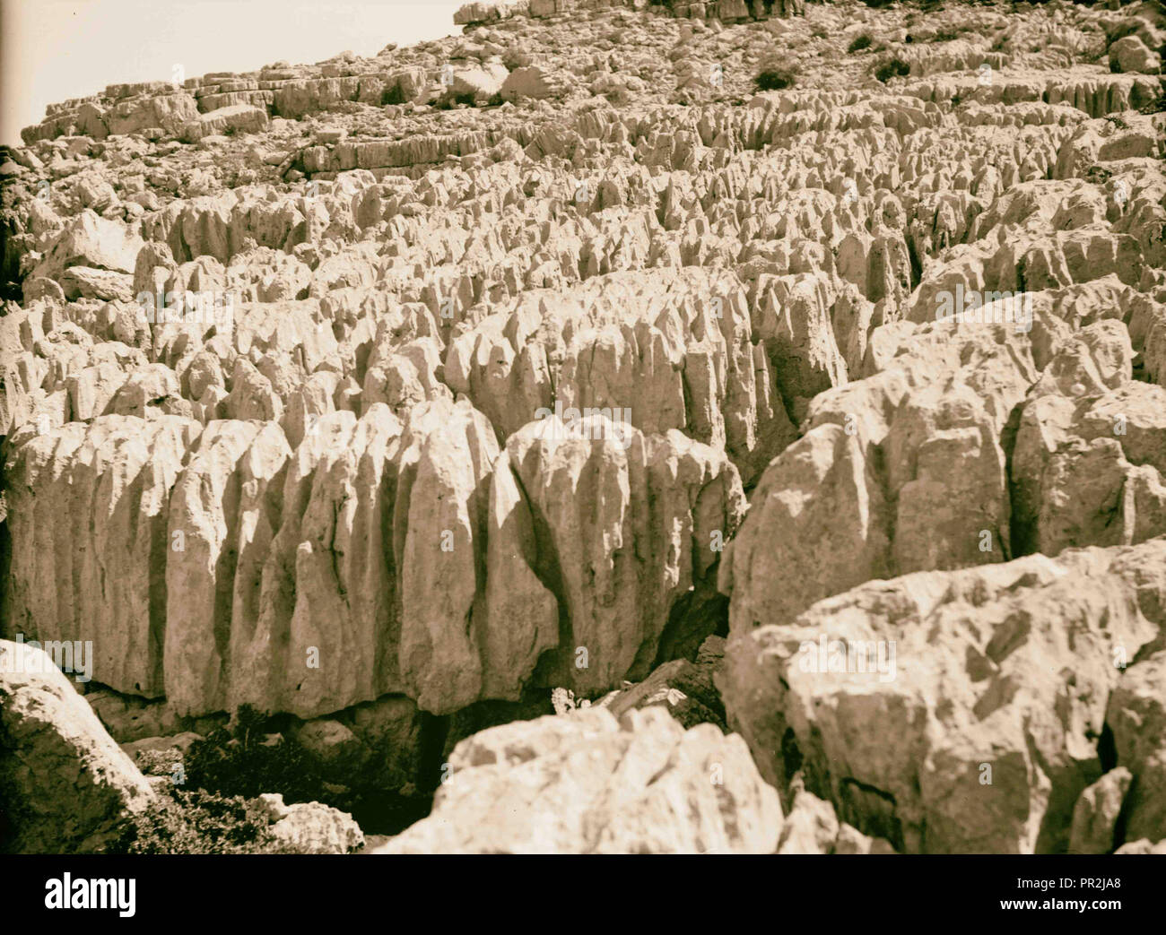 Bis an den Berg Hermon und Umgebung. Herman. Fantastische rock Erosionen. 1920, im Nahen Osten, Israel und/oder Palästina Stockfoto