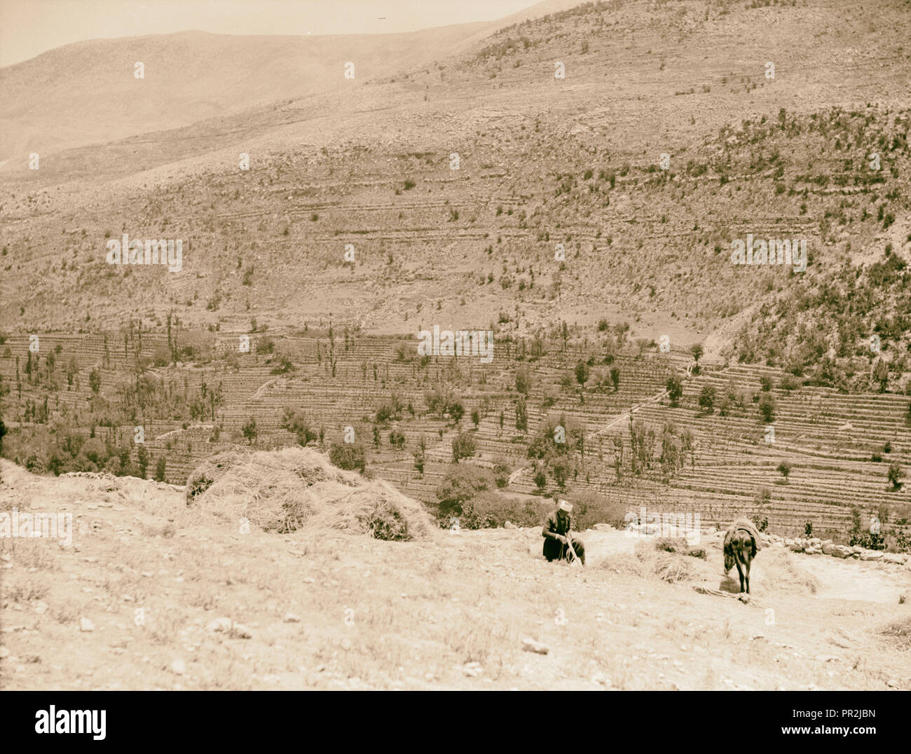 Terrasse und palast Fotos und Bildmaterial in hoher Auflösung Alamy