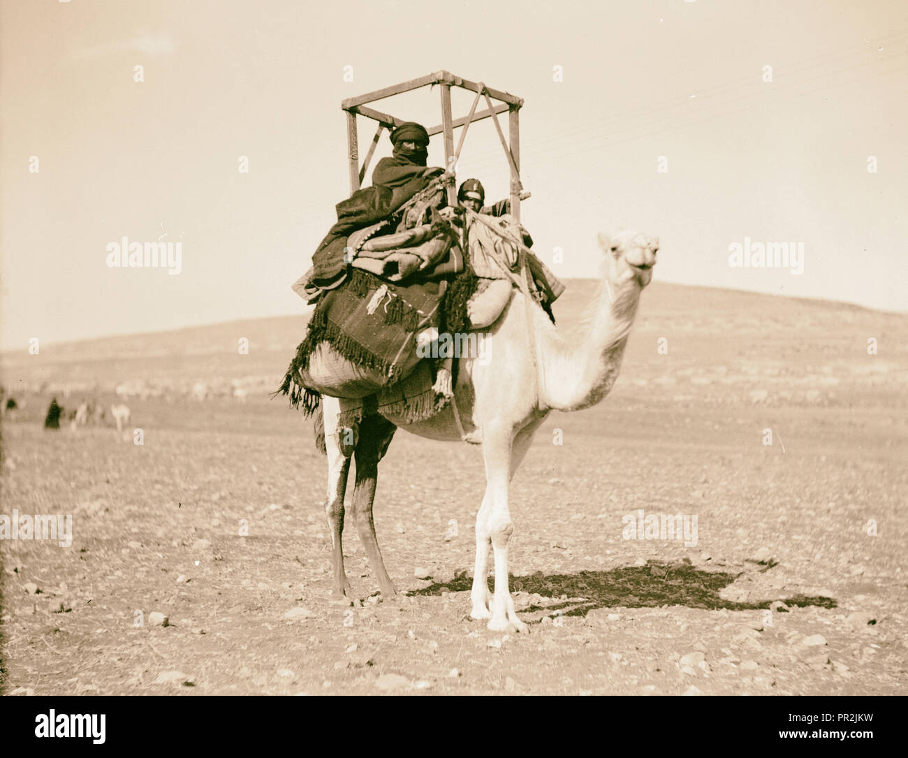 Beduinen leben in Trans-Jordan. Beduinen Frau und Kind auf einem Kamel. Behaglich in einem 'khudduj' sitzt. 1920, Jordanien Stockfoto