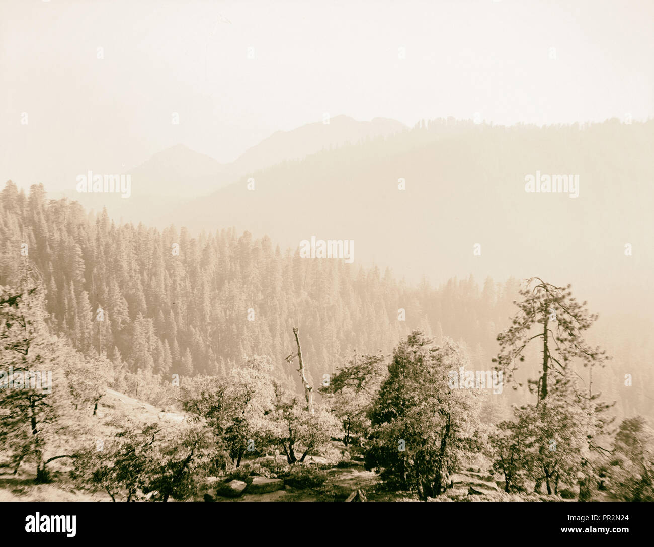 Sequoia & Kings Canyon National Park, Juli 1950 (11. bis 23.) Blick von Sunset Rock Blick nach Süden, auch 'Licht. 1950 Stockfoto