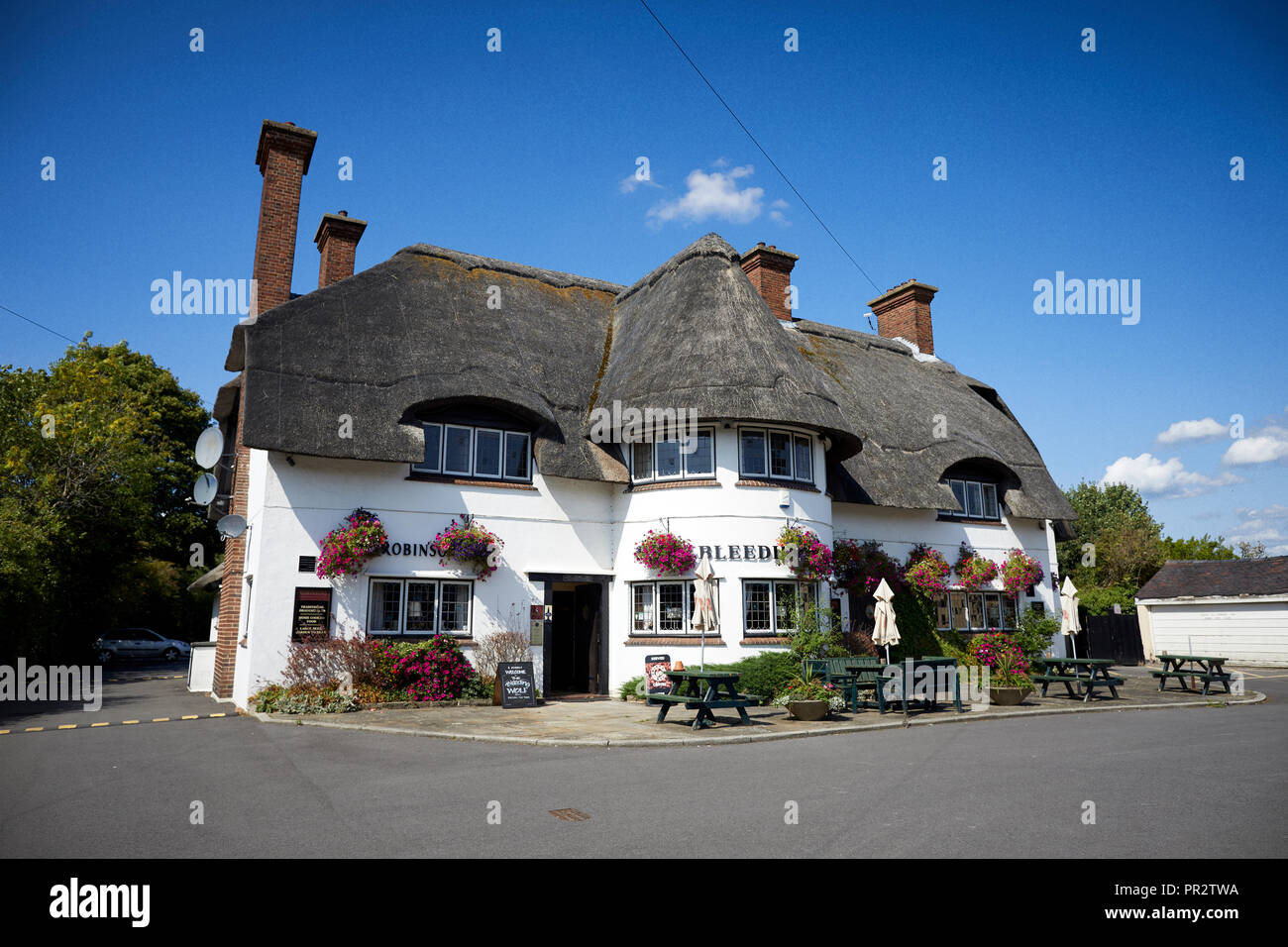 Denkmalgeschützte Public House vernacular Revival Stil malerischen Reetdach Country Pub Blutungen Wolf im Scholar Green, Cheshire Robinsons Brew Stockfoto