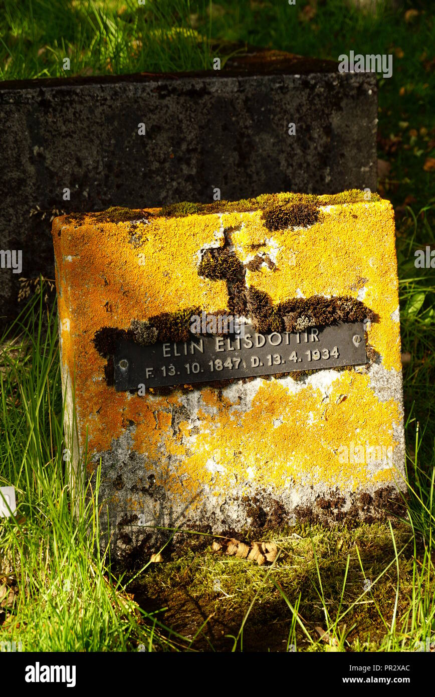 Auf Grabstein, Reykjavik Friedhof Flechten Stockfoto