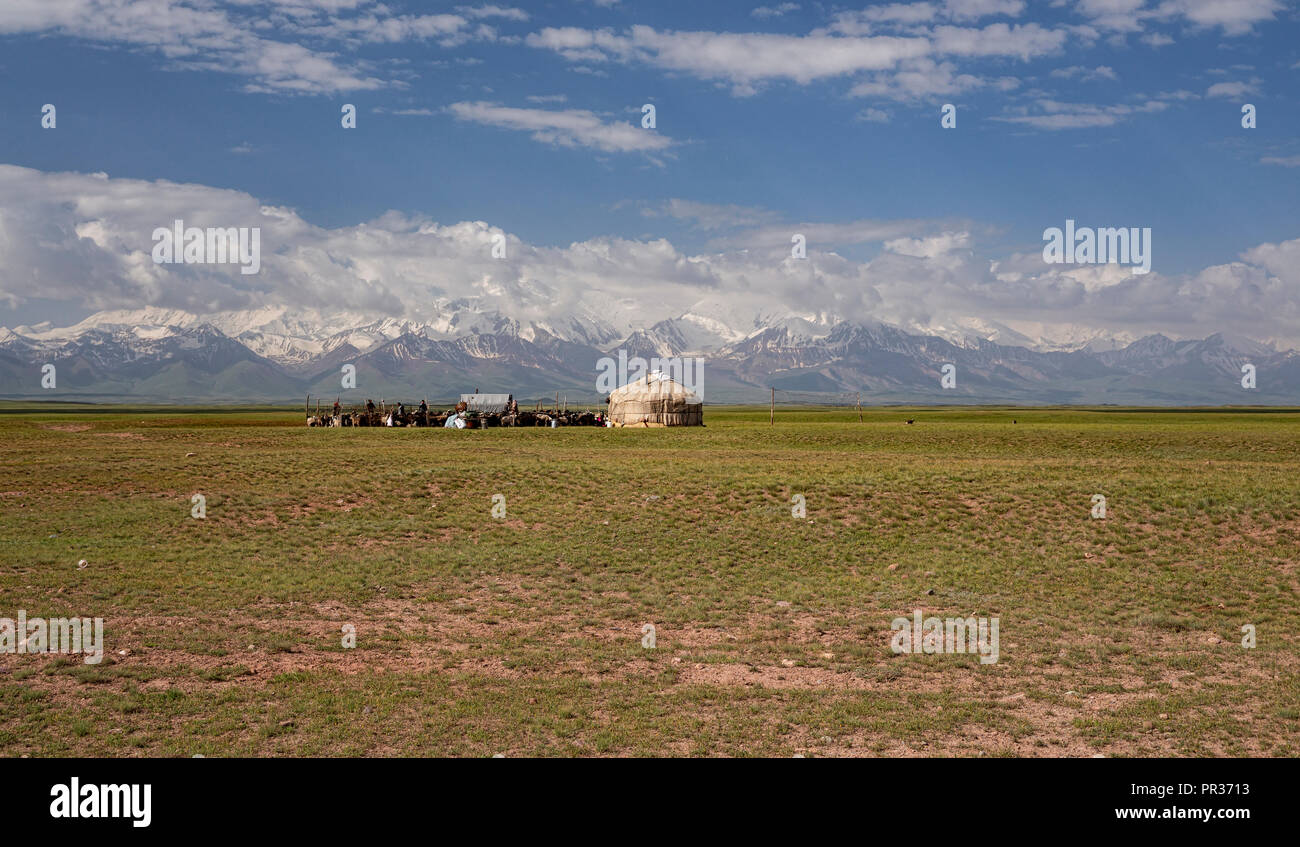 Wunderschön im Alay Tal zwischen den Bergen und dem Zaalay Pamir, dem Pamir Highway hinab in Kirgisistan. Stockfoto