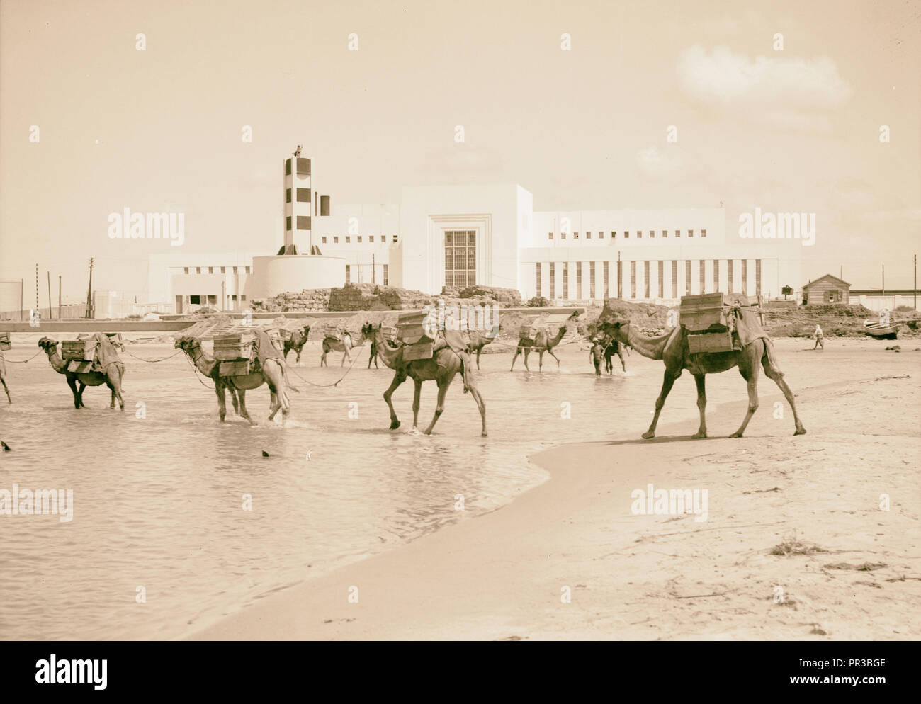 Tel Aviv. Die Lesung Power House mit Kamelen Furt des Flusses. 1934, Israel, Tel Aviv Stockfoto