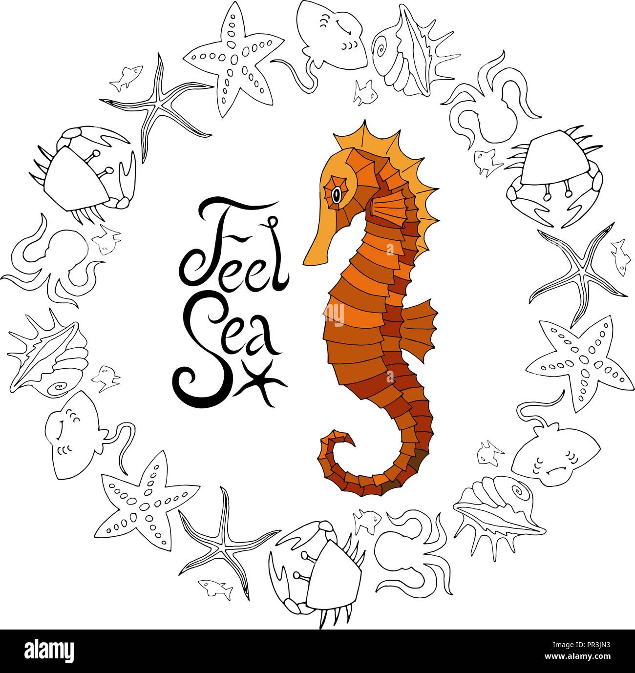 Vektor Sea Horse mit marinen Elementen und Beschriftung Stock Vektor