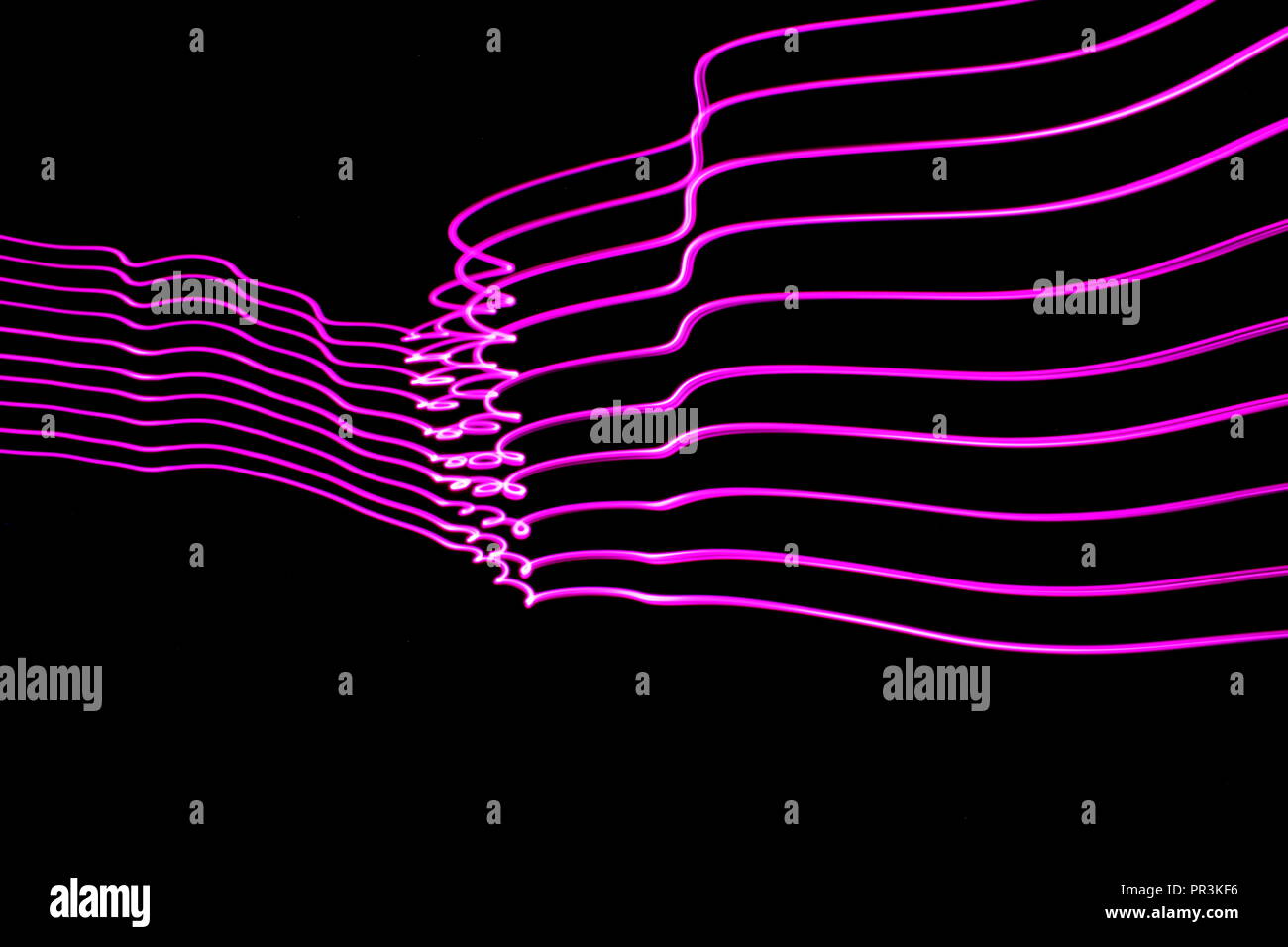 Lange Belichtung Licht Malerei Fotografie, geschwungenen Linien der lebendigen neon pink parallele Linien auf schwarzem Hintergrund Stockfoto