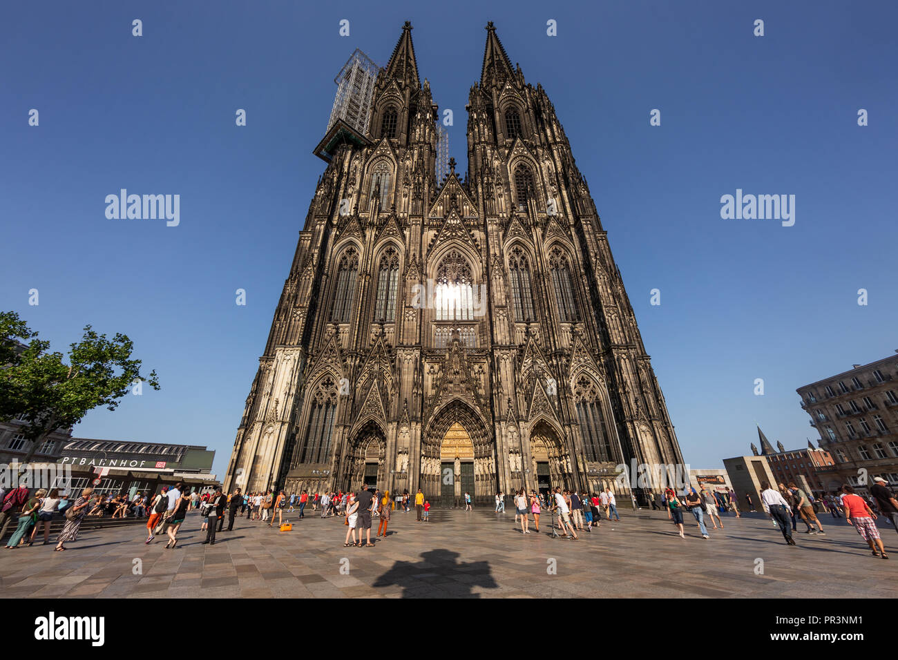 Die westliche Fassade des Kölner Doms in vollem Sonnenlicht Stockfoto