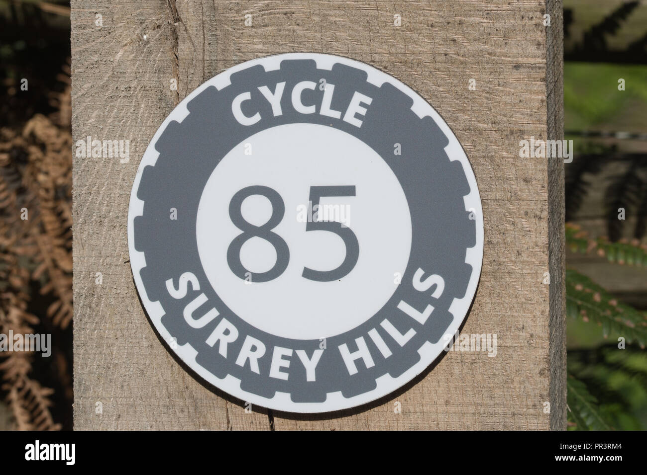 Post Marker für den Zyklus Surrey Hills Gebiet von außergewöhnlicher natürlicher Schönheit Radweg oder Weg (Markierung Nr. 85) am Gemeinsamen Hankley, Surrey, Großbritannien. Stockfoto