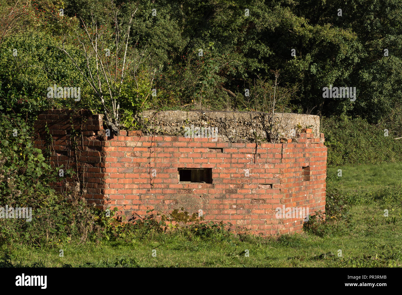 Weltkrieg Bunker, Teil der GHQ-Linie "B" WW2 Verteidigung Linien, in der Nähe von Farnham, Surrey, Großbritannien Stockfoto