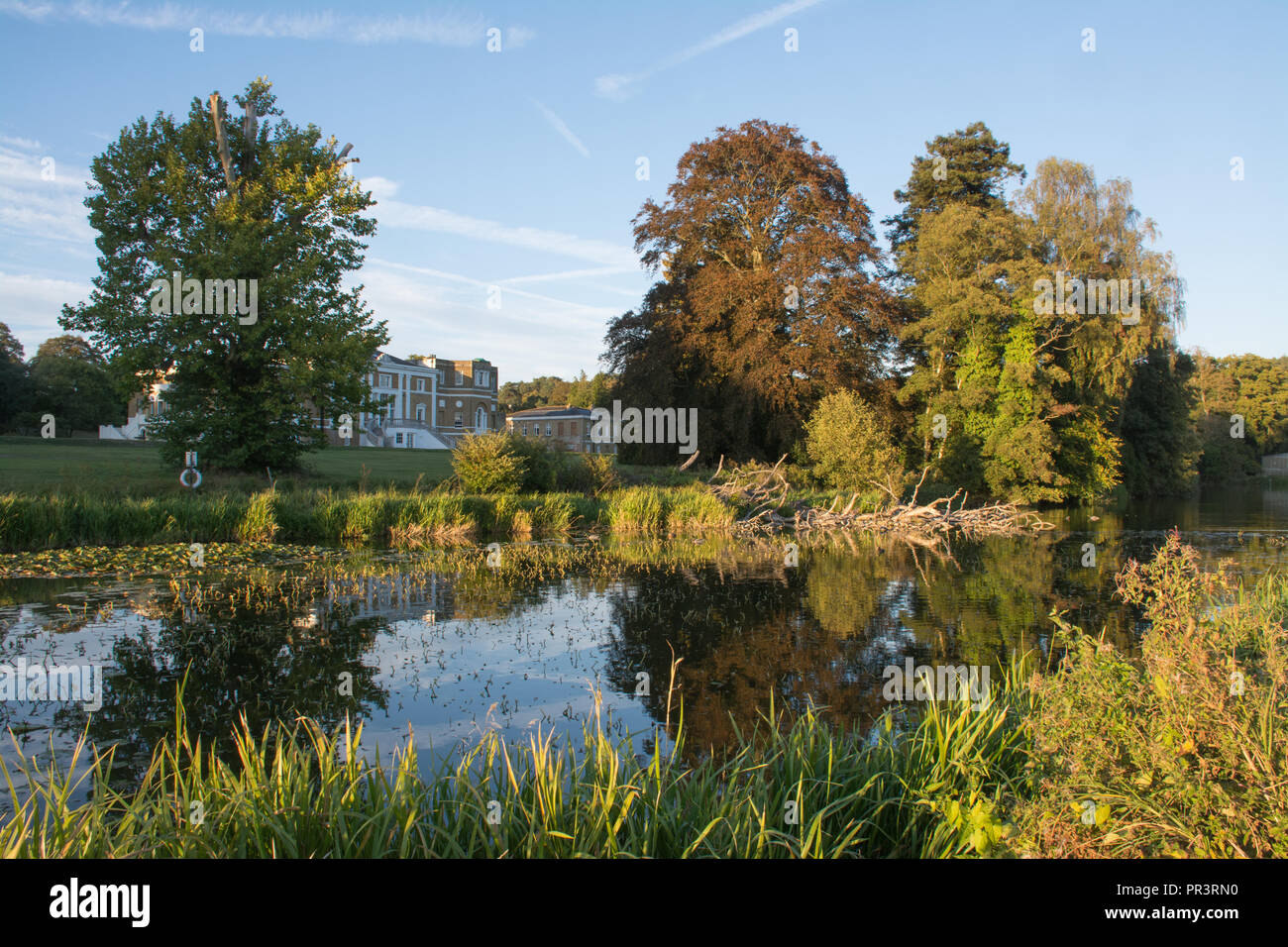 Waverley Abbey House, einem charmanten denkmalgeschützten georgianischen Herrenhaus, im See spiegeln, unter alten Bäumen im Herbst, Surrey, Großbritannien Stockfoto