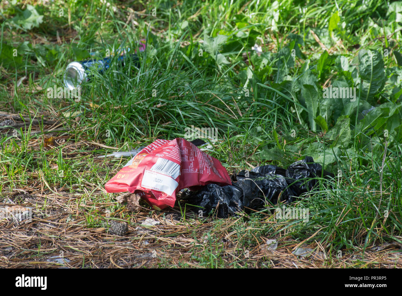 Kunststoffabfälle scharfe Paket in der Landschaft entsorgt Wurf Stockfoto