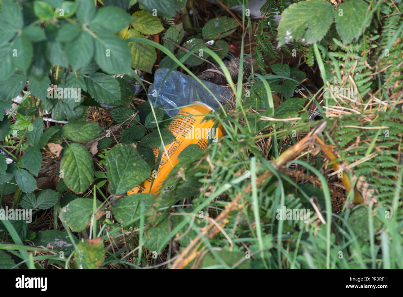 Wurf, Kunststoff Flasche Blechdose in der Landschaft entsorgt Stockfoto