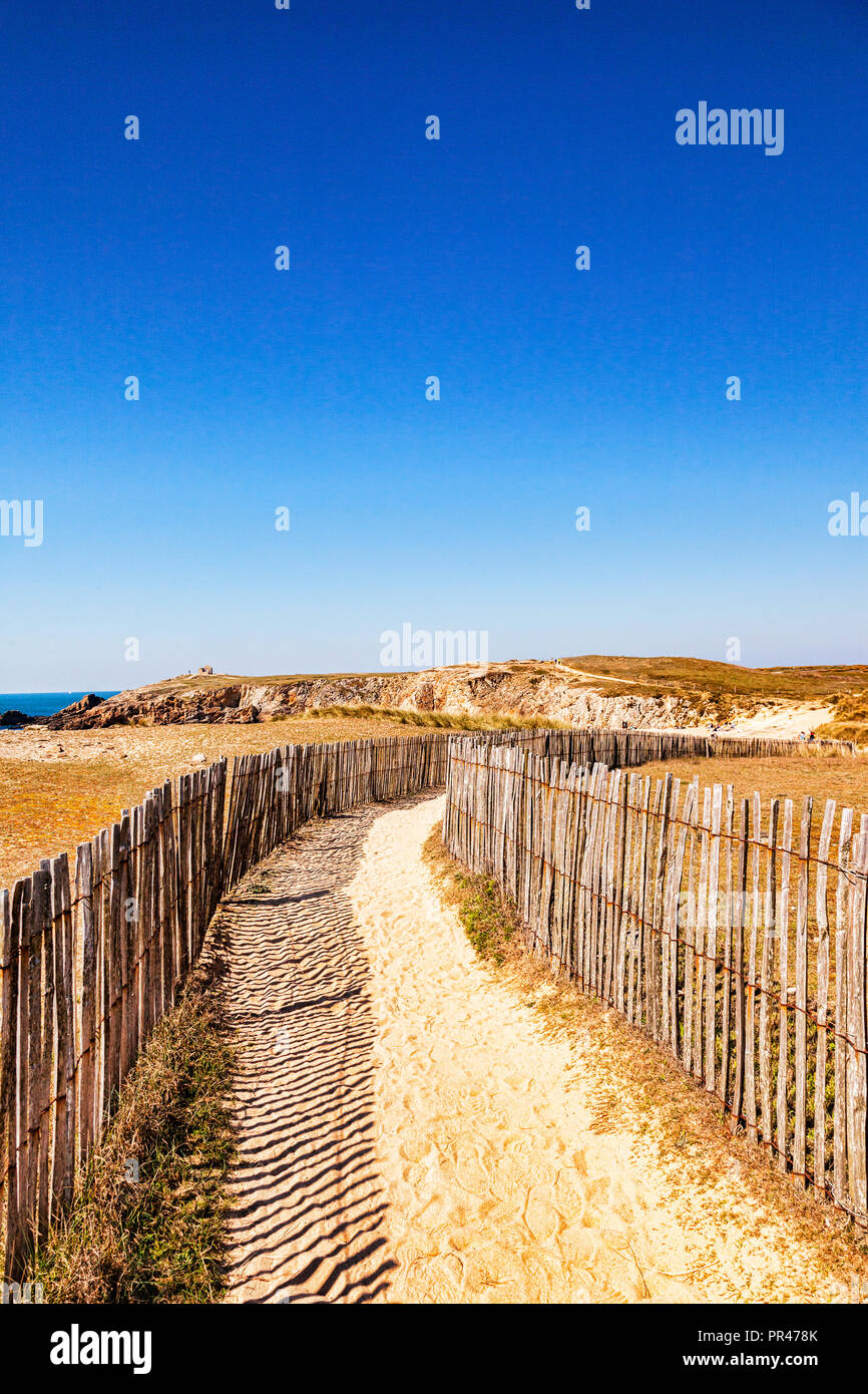 Weg durch die Sanddünen in der Nähe von Port Bara, Halbinsel Quiberon, Bretagne, Frankreich. Stockfoto