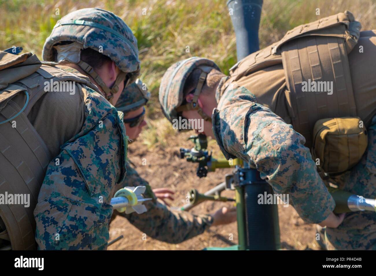 Us-Marines mit Marine Rotational Force-Europe 18.1 stabilisieren ein 81 mm Mörser System während der Übung Archipels bemühen, an Bord die Insel der Uto, Schweden, Sept. 6, 2018. Übung Archipels Bemühen ist ein integrierter Bereich Ausbildung übung, die Einsatzfähigkeit erhöht und verbessert die strategische Zusammenarbeit zwischen der US-Marines und der schwedischen Streitkräfte. Stockfoto