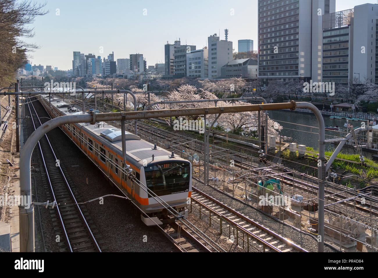 Sotobori Park ist berühmt Kirschblüten spot, entlang der äußeren Festungsgraben der JR Chuo-Line, Sobu-Line von iidabashi Bahnhof Yotsuya Station folgt Stockfoto