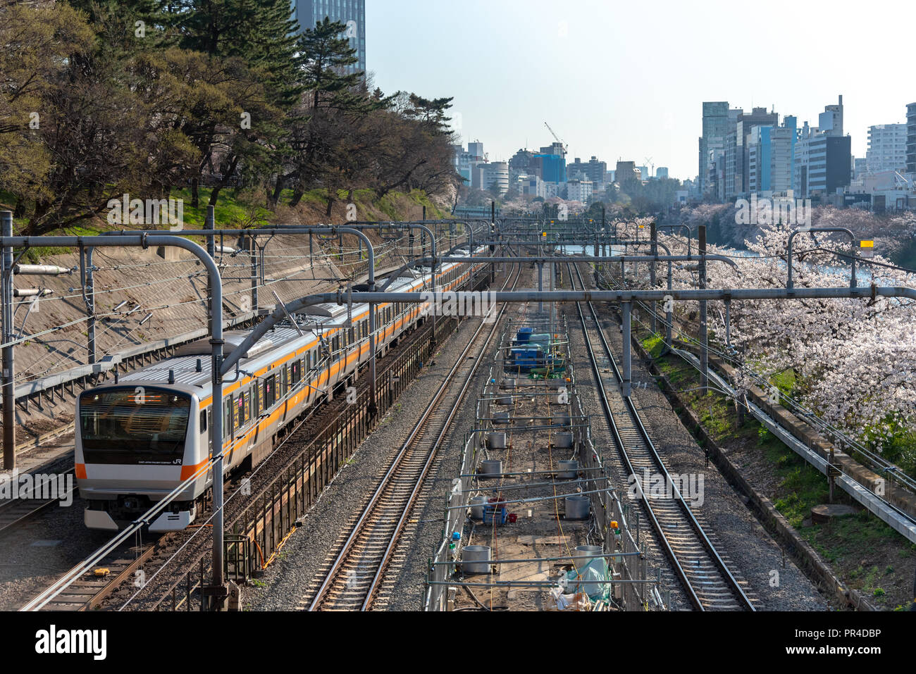 Sotobori Park ist berühmt Kirschblüten spot, entlang der äußeren Festungsgraben der JR Chuo-Line, Sobu-Line von iidabashi Bahnhof Yotsuya Station folgt Stockfoto