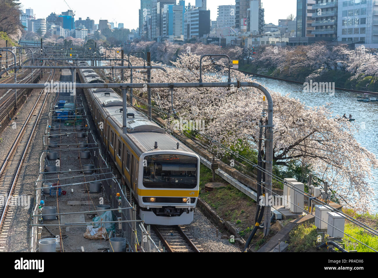 Sotobori Park ist berühmt Kirschblüten spot, entlang der äußeren Festungsgraben der JR Chuo-Line, Sobu-Line von iidabashi Bahnhof Yotsuya Station folgt Stockfoto