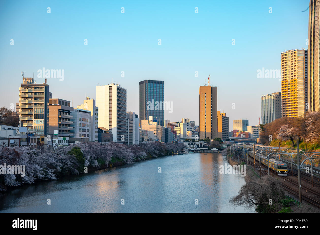 Sotobori Park ist berühmt Kirschblüten spot, entlang der äußeren Festungsgraben der JR Chuo-Line, Sobu-Line von iidabashi Bahnhof Yotsuya Station folgt Stockfoto