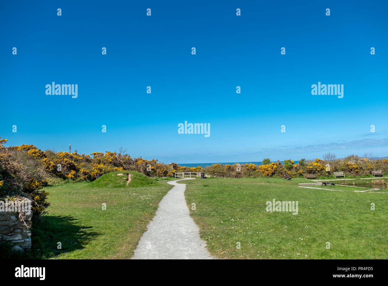 Pfad am Wellenbrecher Country Park auf Anglesey in Wales, Vereinigtes Königreich. Stockfoto