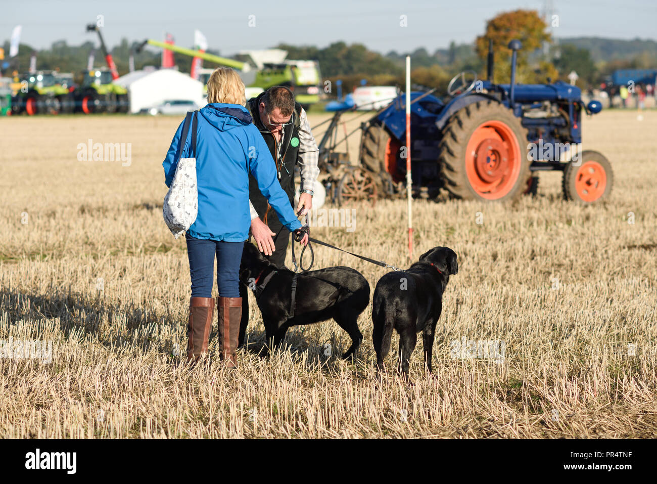 Wenig Carlton, Nottinghamshire, UK: 29. September 2018: Southwell pflügen Match ist der grösste landwirtschaftliche eines Tages zeigen in Nottinghamshire, im Jahre 1855 gegründet und wird von einem Ausschuss, bestehend aus lokalen Geschäftsleuten und ländliche Enthusiasten. Die jährliche Messe ist an einem anderen Schauplatz jedes Jahr statt mit 2018 kleinen Carlton gehalten wird. Credit: Ian Francis/Alamy leben Nachrichten Stockfoto