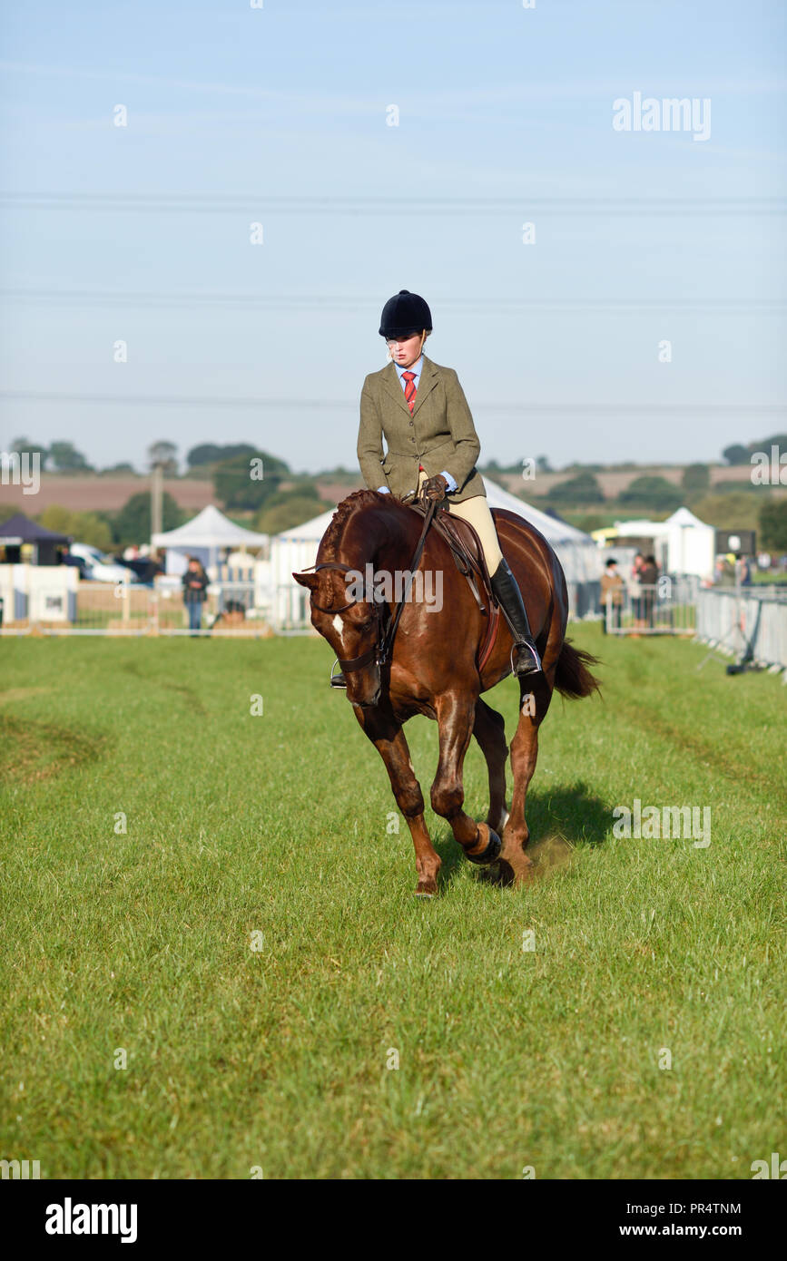 Wenig Carlton, Nottinghamshire, UK: 29. September 2018: Southwell pflügen Match ist der grösste landwirtschaftliche eines Tages zeigen in Nottinghamshire, im Jahre 1855 gegründet und wird von einem Ausschuss, bestehend aus lokalen Geschäftsleuten und ländliche Enthusiasten. Die jährliche Messe ist an einem anderen Schauplatz jedes Jahr statt mit 2018 kleinen Carlton gehalten wird. Credit: Ian Francis/Alamy leben Nachrichten Stockfoto