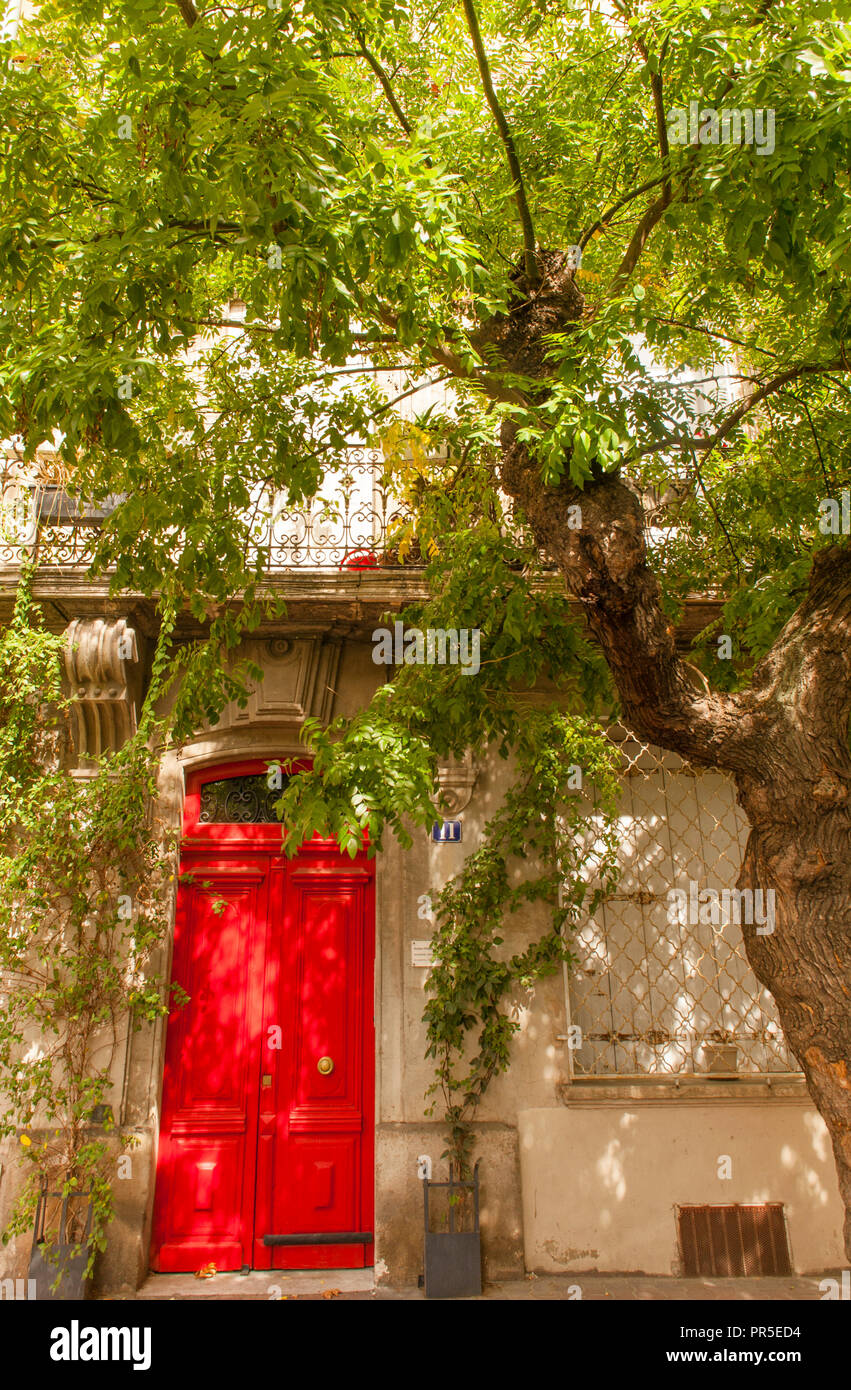 Streetscene in Montpellier Stadtzentrum mit grünen Blättern eines Baumes kontrastieren mit einer roten Tür in einer Residenz Stockfoto