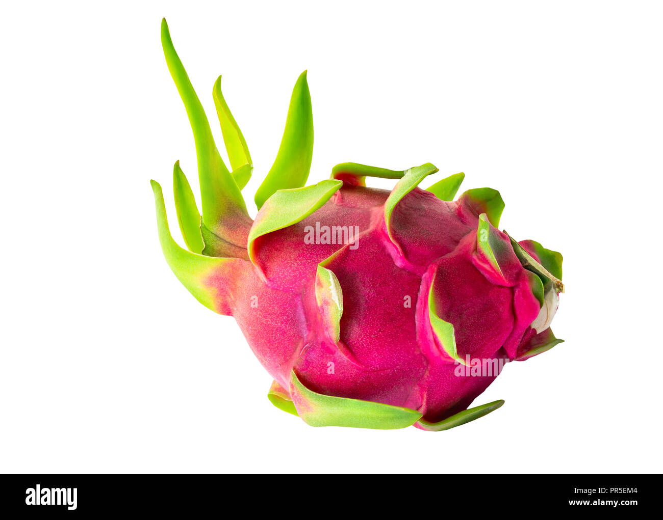 Drachenfrucht pitaya oder auf weißem Hintergrund (clipping path enthalten) Stockfoto