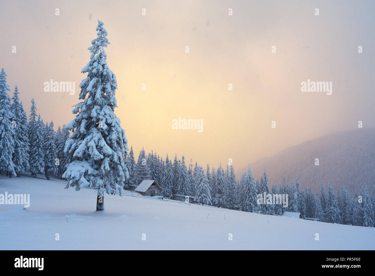 Weihnachten anzeigen. Winterlandschaft mit Tannen im Schnee. Das Holzhaus in einem Bergwald. Sonnenlicht und bewölktem Himmel. Schöne fabelhafte evenin Stockfoto