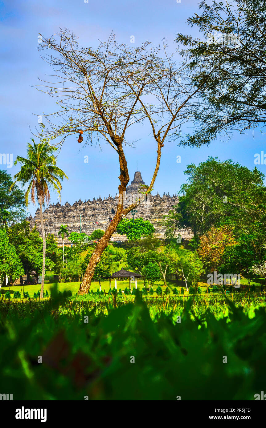 Garten von Borobudur Tempel ist ein Reiseziel in Asien, genauer in Zentral-java, Yogyakarta, Indonesien. Stockfoto