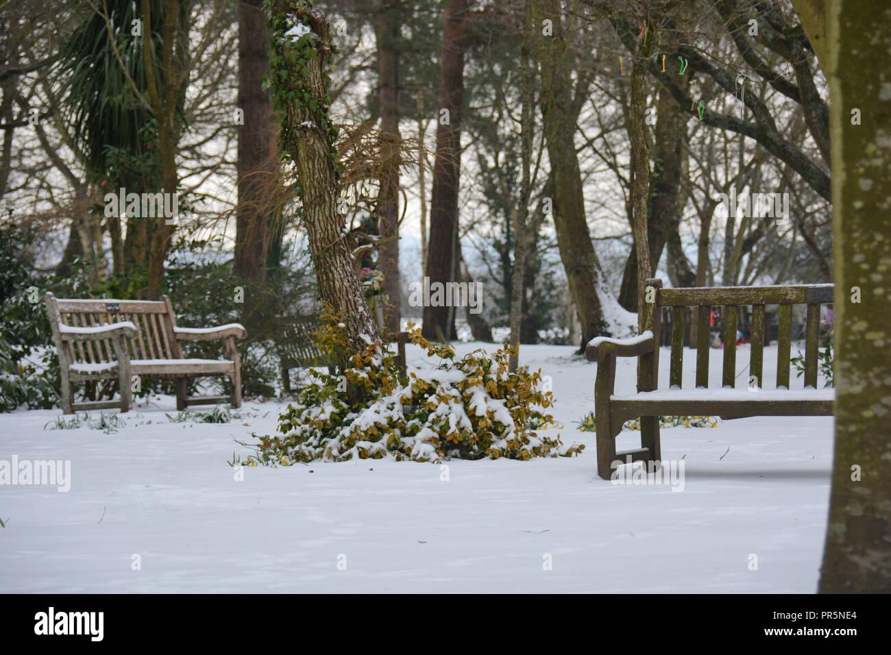 Bänke im Schnee, Winter, saisonale Fotografie. Stockfoto