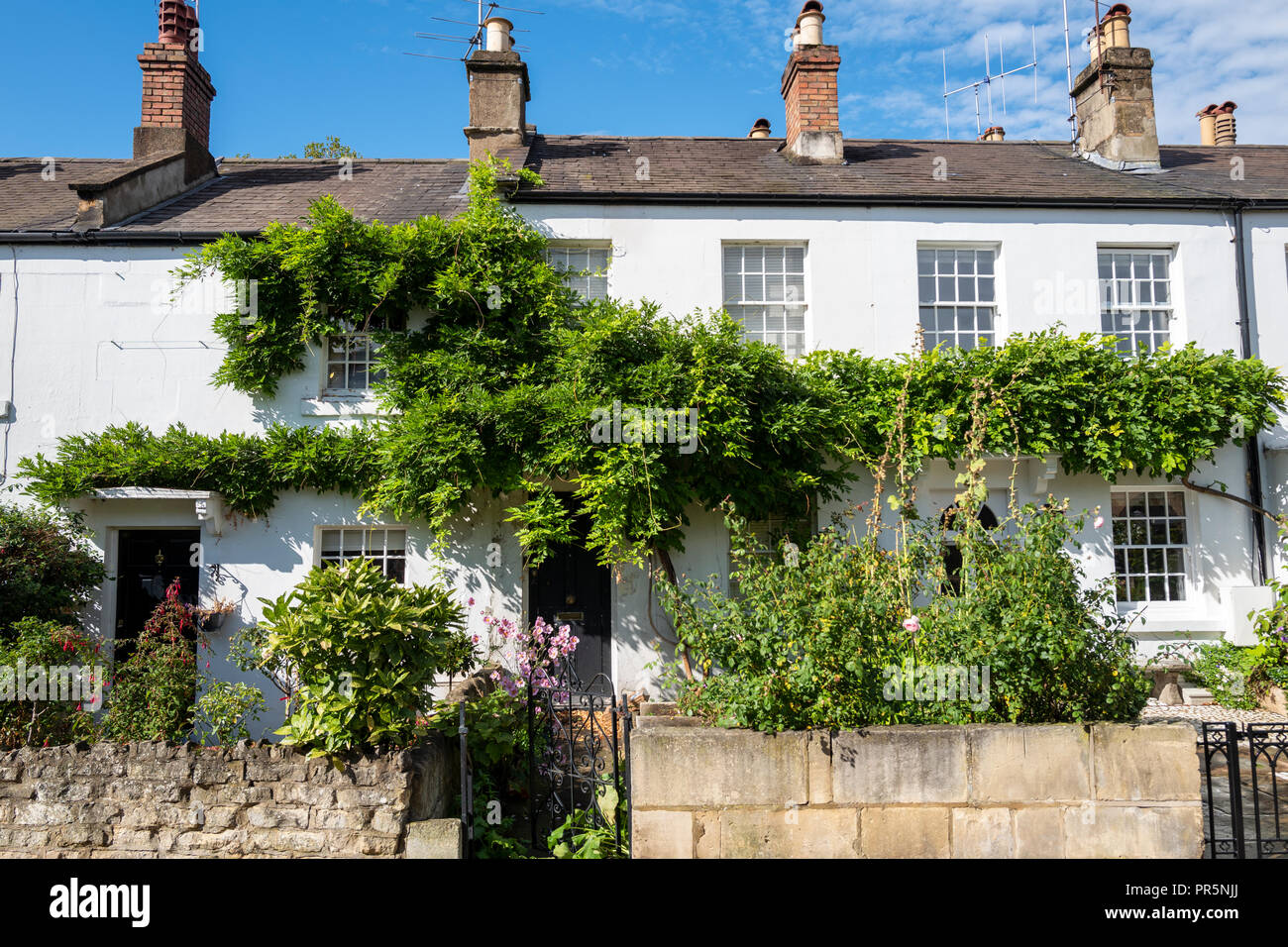 Typische englische Reihe von terrassenförmig angelegten Cottages in Richmond, London Stockfoto
