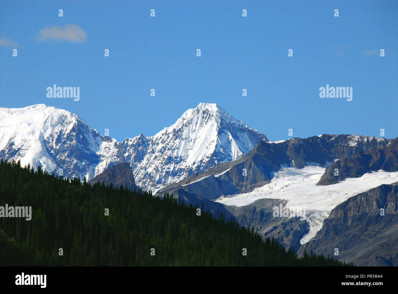 Ein Blick auf die wunderschönen schneebedeckten Bergen, Gletschern und Wald von Wrangell - St. Elias Nationalpark in Alaska, USA Stockfoto
