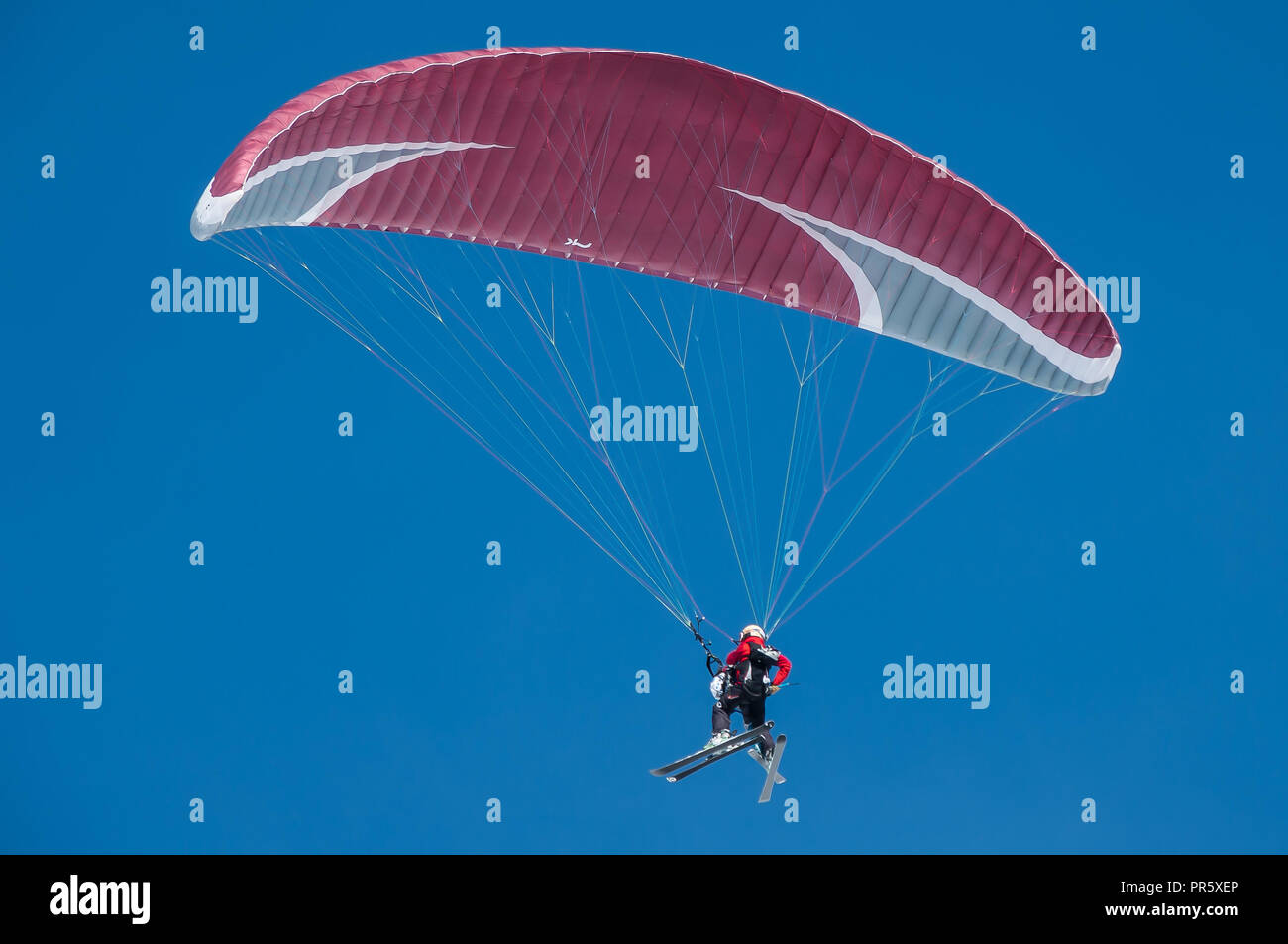 Skifahrer Gleitschirmfliegen in perfekten Bedingungen an der Alpe d'Huez Skigebiet, Frankreich Stockfoto