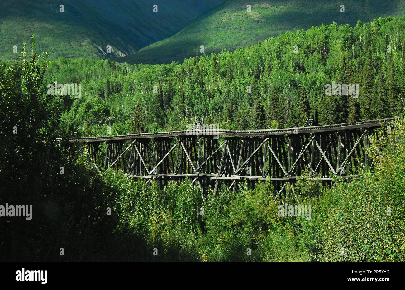 Die Ruine der Holz- Gilahina Eisenbahn Bock in den Wrangell-St. Elias National Park, Alaska, USA Stockfoto