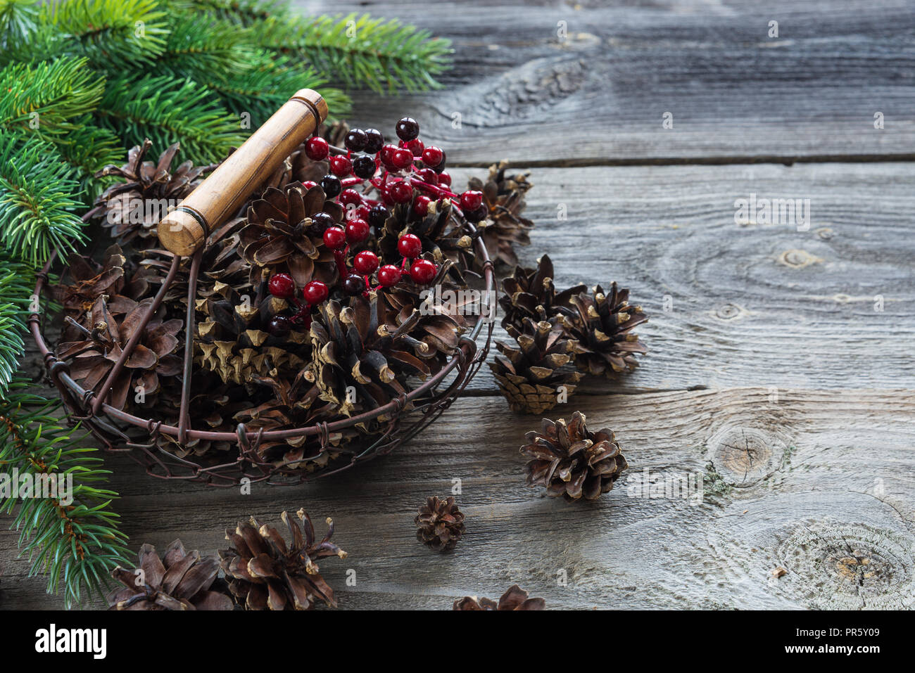 Weihnachten Konzept: volle Korb mit Tannenzapfen und roten Stechpalme Beeren und Zweige auf dem Hintergrund der alten unlackierte Holz Fichte, mit copy-spa Stockfoto