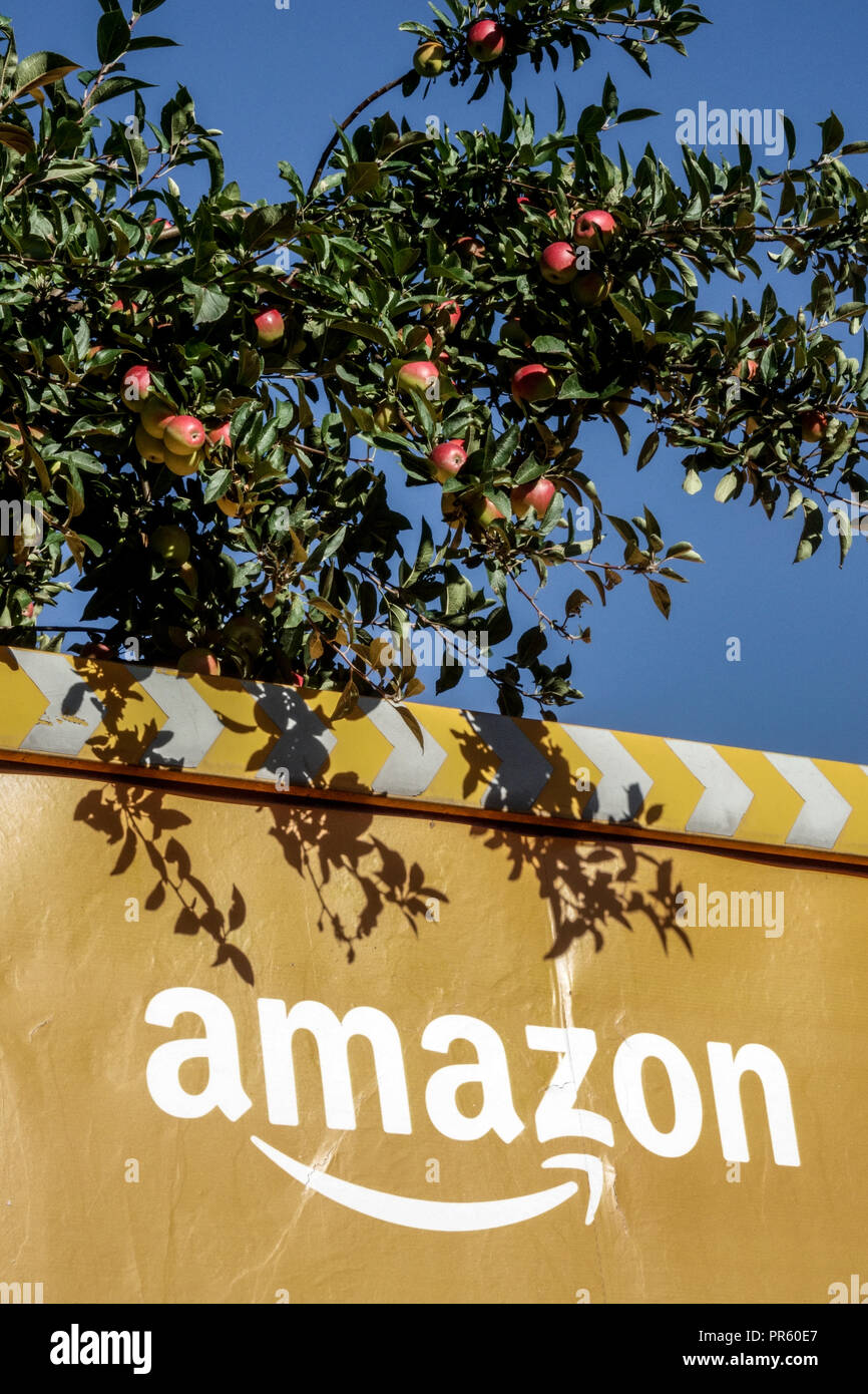 Amazon logo und ein Zweig mit der reife Äpfel Stockfoto