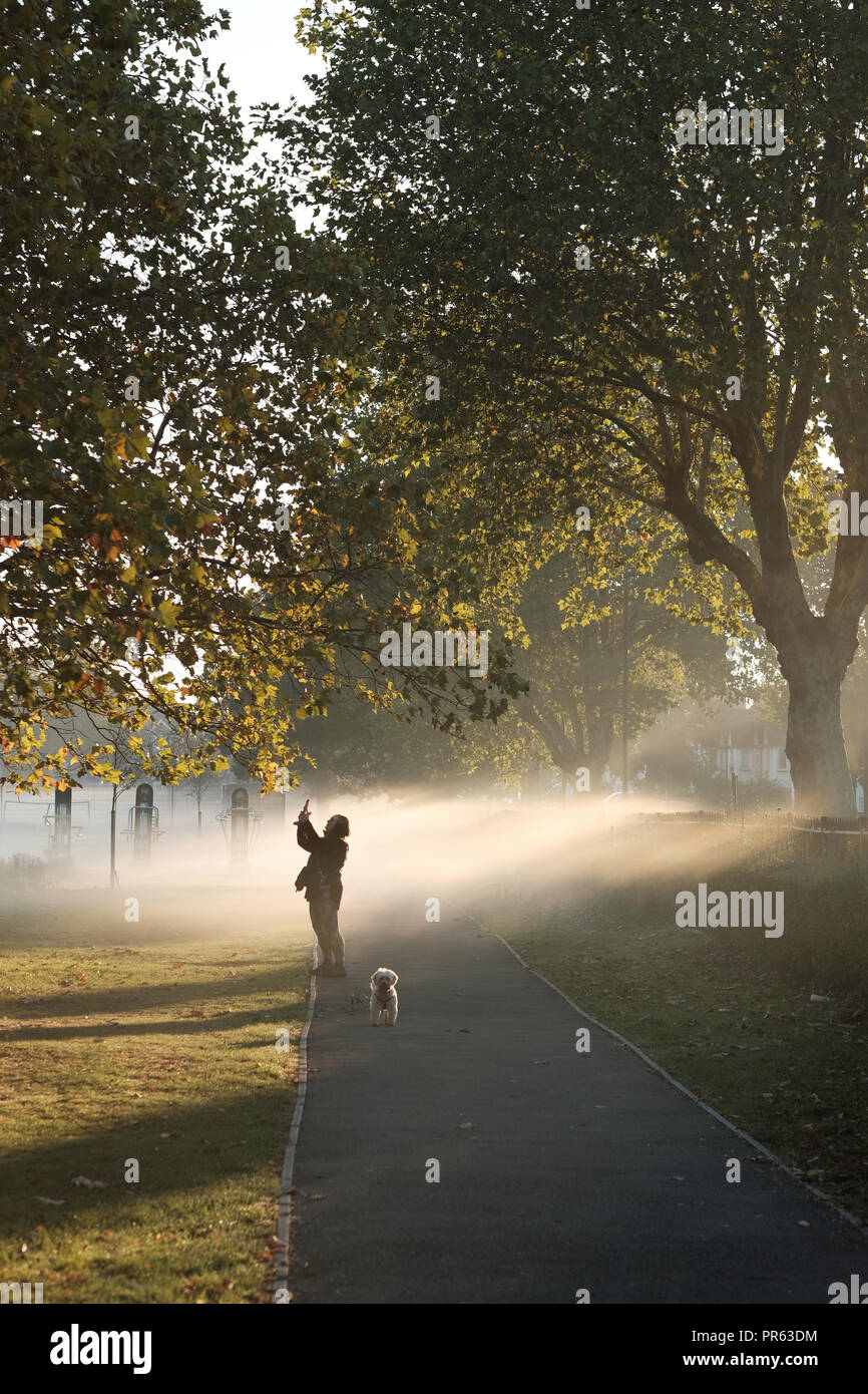 Am frühen Morgen Nebel, Acton, Park, W3, London, Vereinigtes Königreich Stockfoto