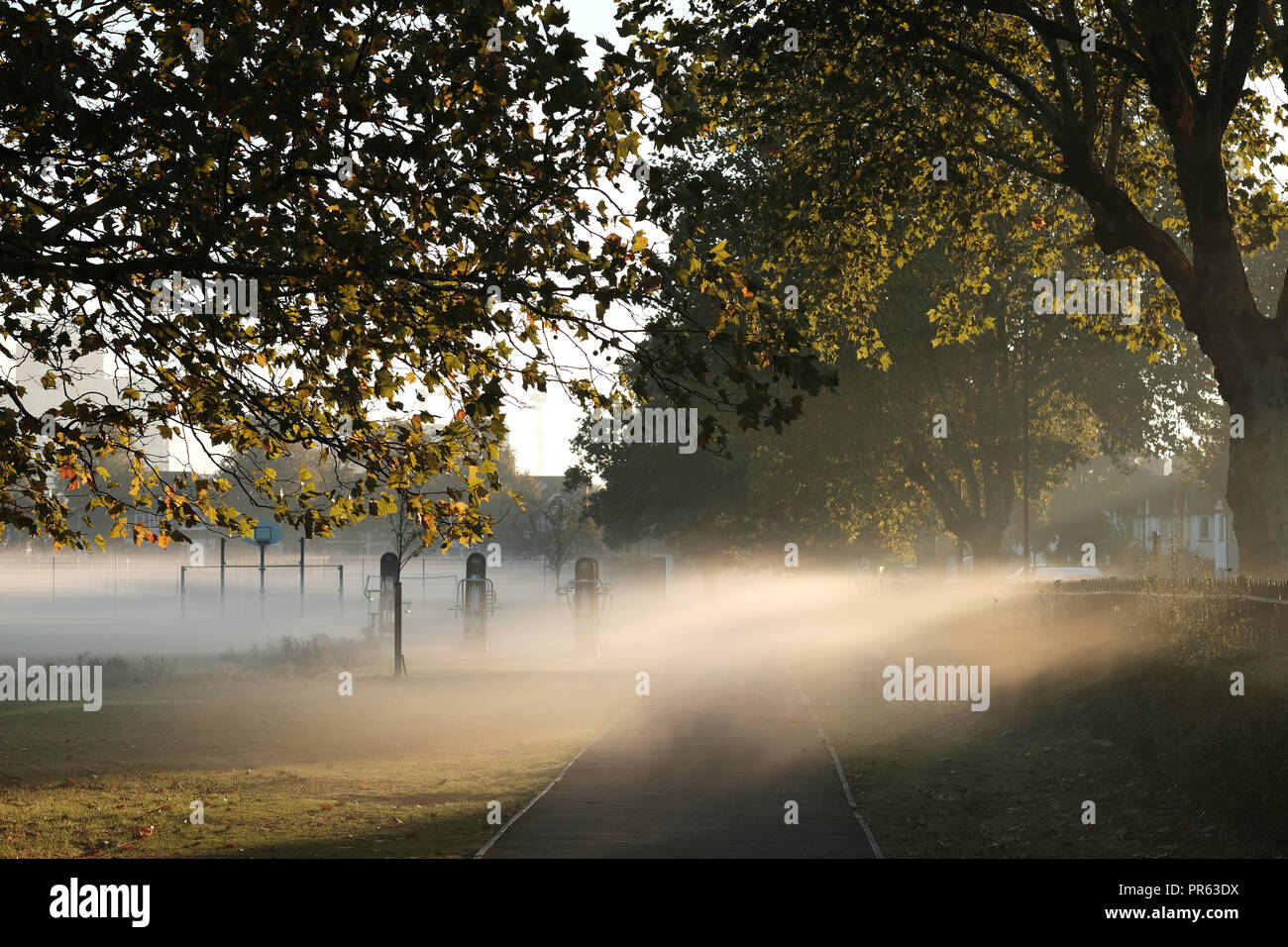 Am frühen Morgen Nebel, Acton, Park, W3, London, Vereinigtes Königreich Stockfoto