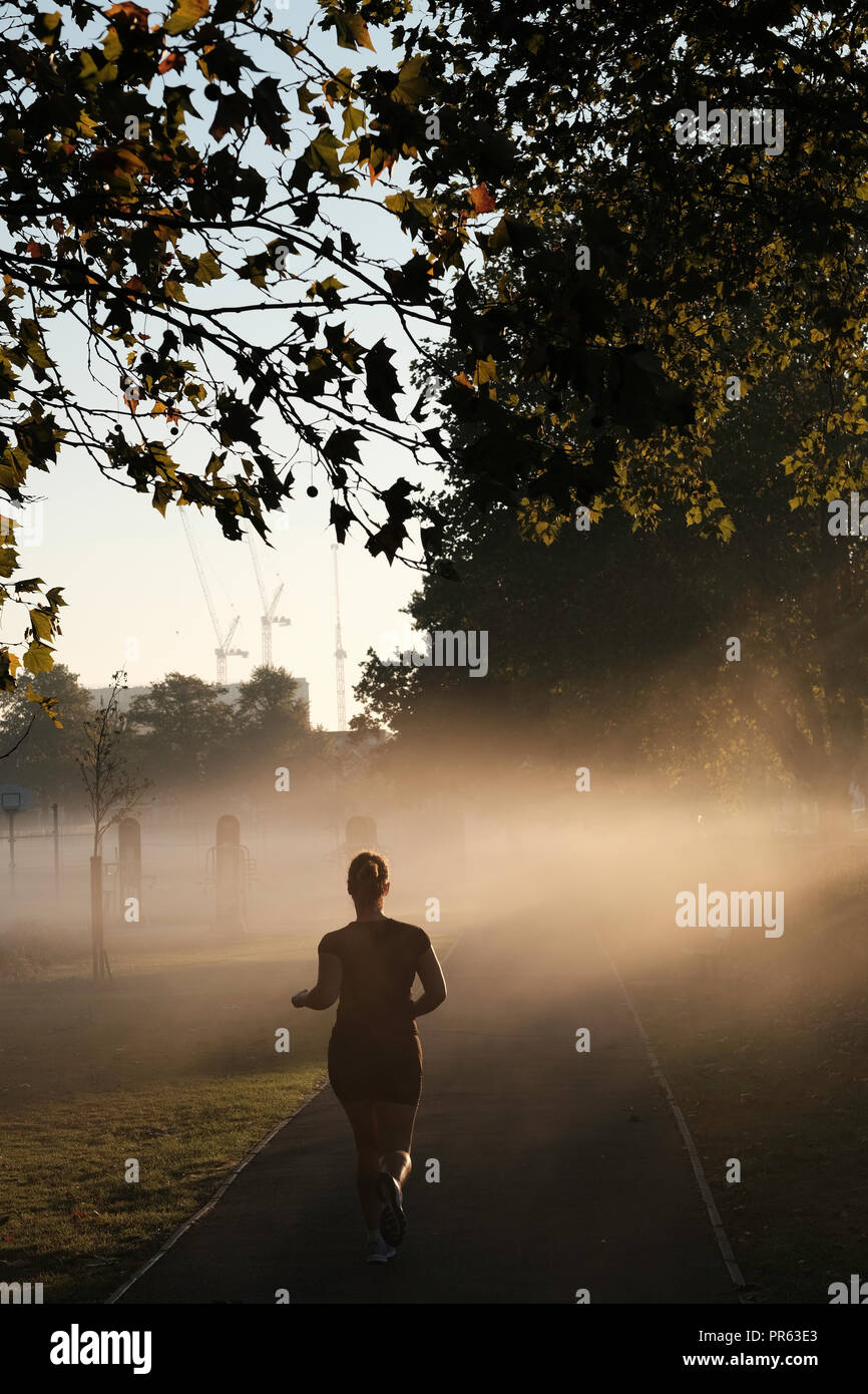 Am frühen Morgen Nebel, Acton, Park, W3, London, Vereinigtes Königreich Stockfoto