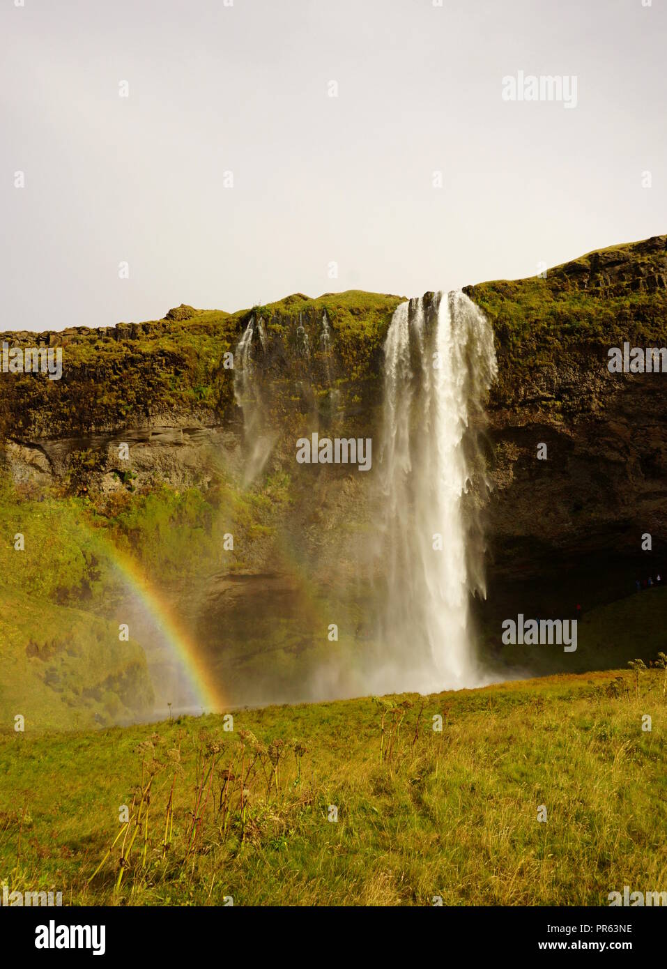 Der Wasserfall Seljalandsfoss, South Island Stockfoto