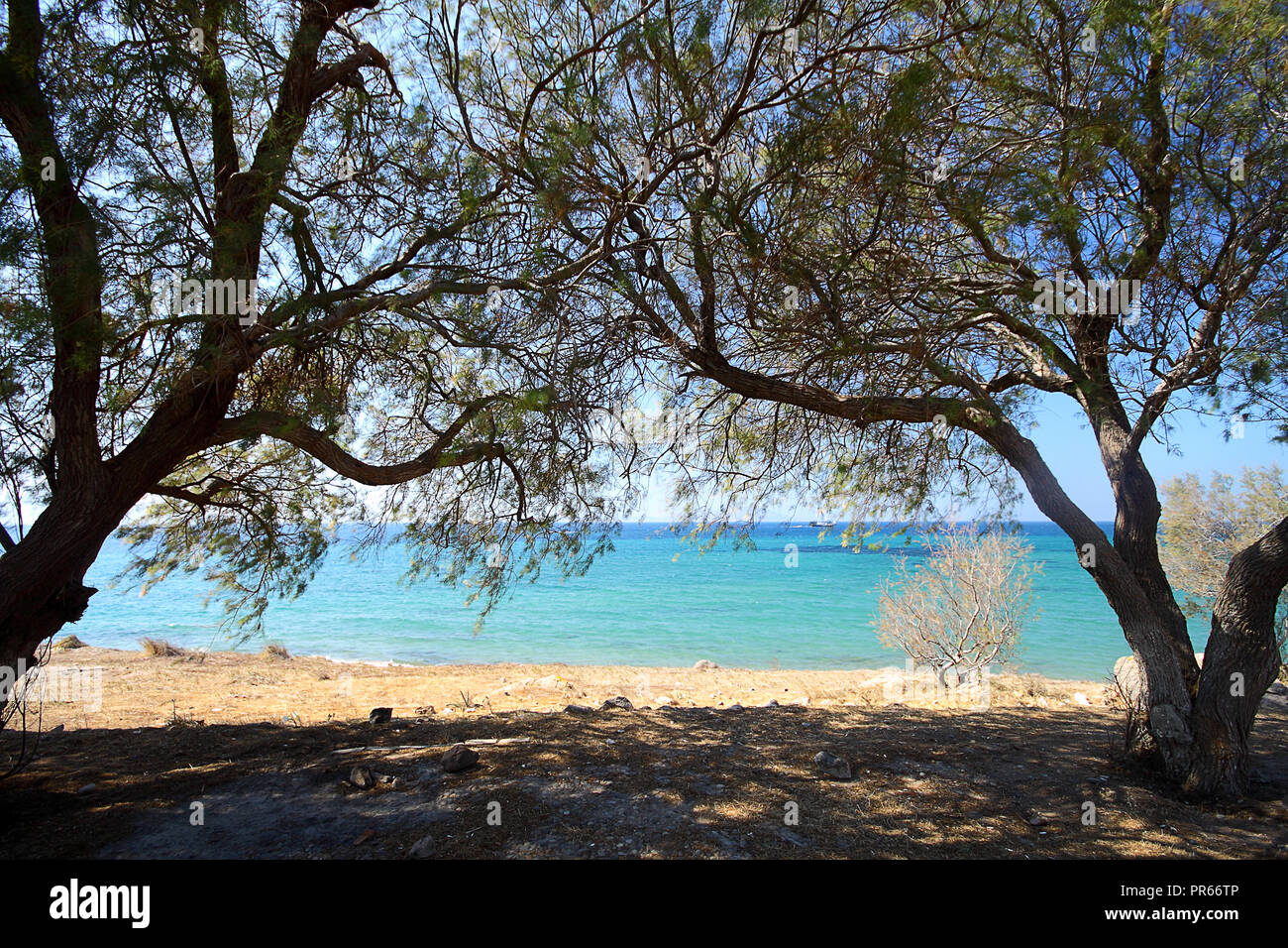 Eine kleine Stadt am Meer, Bodrum Akyarlar Stockfoto