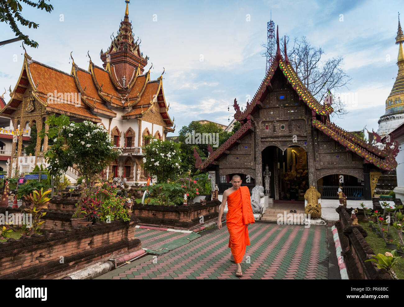 Mönch im Wat Buppharam, einer alten buddhistischen Tempel in Chiang Mai, Thailand. Stockfoto