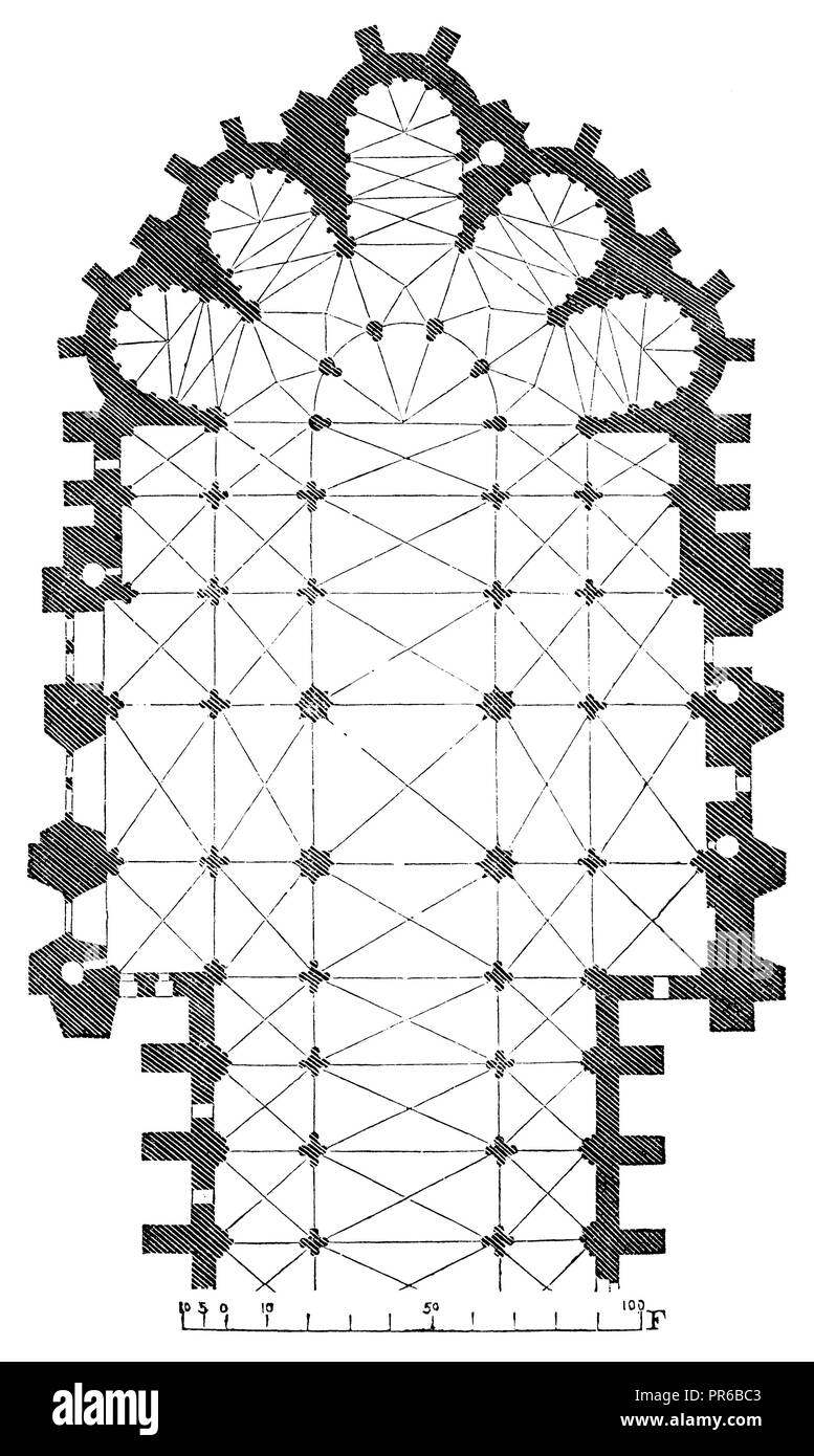 BP FORTIPHANE GELULE main image 1